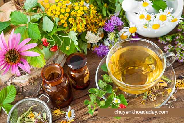 Đông y chữa trào ngược dạ dày