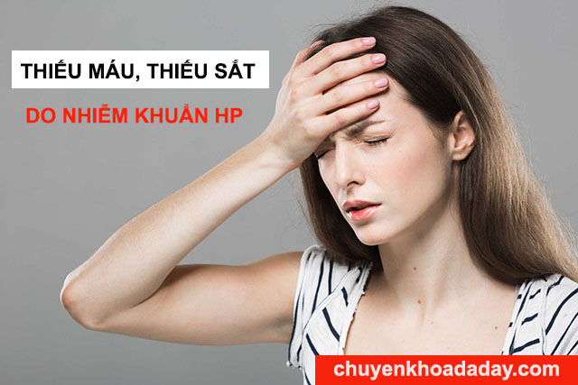 Thiếu máu dấu hiệu nhiễm vi khuẩn Hp