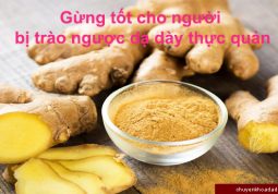 Dùng gừng tươi tốt cho người bị trào ngược dạ dày thực quản