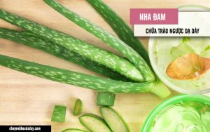 Chữa trào ngược dạ dày bằng nha đam