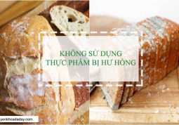 Không ăn thực phẩm bị ẩm mốc tránh nguy cơ mắc bệnh ung thư dạ dày