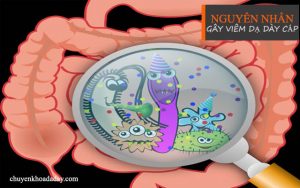 Nguyên nhân gây bệnh viêm dạ dày cấp ở trẻ