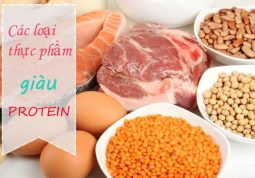 Các loại thực phẩm chứa nhiều protein tốt cho người bị ung thư dày