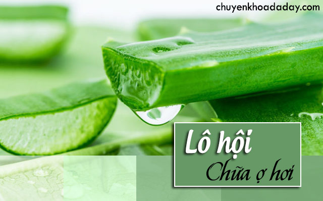 chữa ợ hơi bằng lô hội