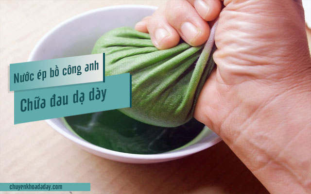 dùng bồ công anh chữa đau dạ dày