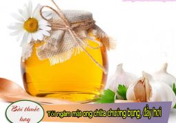 Tỏi ngâm mật ong là bài thuốc chữa chứng đầy hơi chướng bụng rất hiệu nghiệm