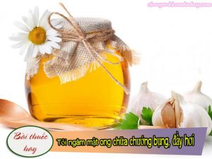 Tỏi ngâm mật ong là bài thuốc chữa chứng đầy hơi chướng bụng rất hiệu nghiệm