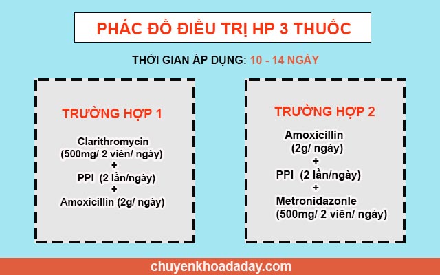 Phác đồ điều trị Hp 3 thuốc