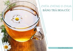 Uống trà hoa cúc thường xuyên giúp làm giảm chứng ợ chua