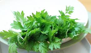 Tác dụng bất ngờ chữa đau bụng của lá ngải cứu