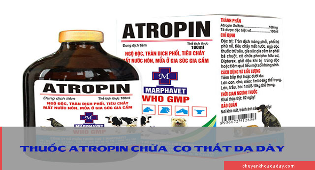 Dùng thuốc Atropin chữa bệnh co thắt dạ dày