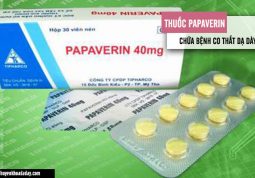 Thuốc Papaverin chữa bệnh co thắt dạ dày