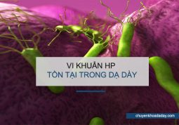 Dương tính với vi khuẩn Hp nghĩa là bạn đã bị nhiễm vi khuẩn Hp dạ dày