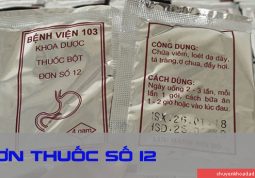 Đơn thuốc số 12 - Bệnh viện Quân y 103