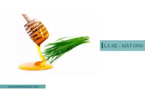 Kết hợp lá hẹ và mật ong chữa chứng ho do trào ngược acid dạ dày
