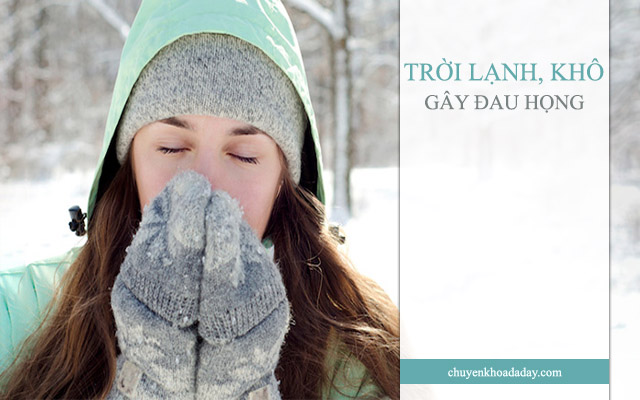 Không khí lạnh và khô là một trong những nguyên nhân gây đau họng, khó nuốt