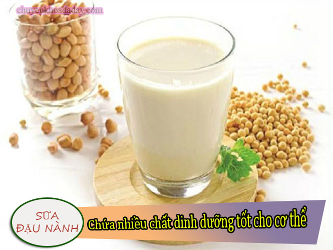 Sữa đậu nành chứa nhiều chất dinh dưỡng tốt cho cơ thể