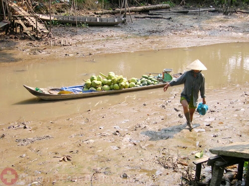 Vi khuẩn Hp sống trong môi trường ao hồ, kênh rạch