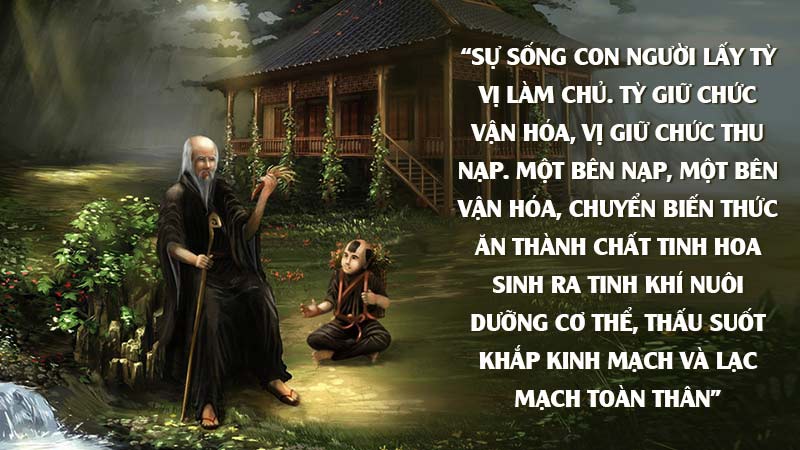 Ngày càng nhiều người quay về sử dụng Đông y để khắc phục viêm loét dạ dày