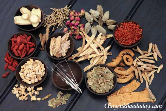 Đông y trị viêm loét dạ dày
