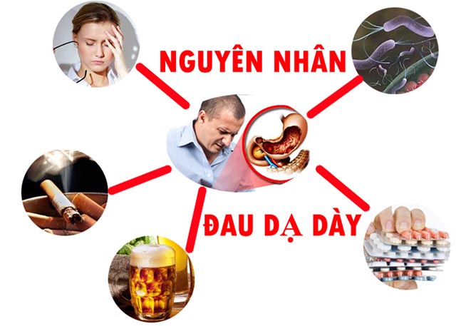 Nguyên nhân gây đau dạ dày Nguyên nhân viêm loét dạ dày