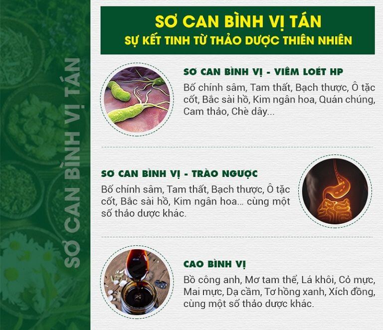 Sơ can Bình vị tán được bào chế từ nhiều loại thảo dược quý