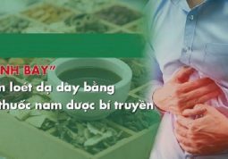 Loại Bỏ Viêm Loét Dạ Dày Bằng Bài Thuốc YHCT Đã Được Kiểm Nghiệm