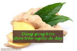 Gừng tươi chữa đau dạ dày hiệu quả