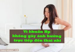 Vi khuẩn Hp không gây ảnh hưởng trực tiếp đến thai nhi