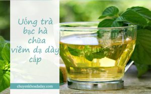Uống nước lá bạc hà chữa bệnh viêm dạ dày cấp