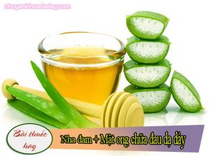 Kết hợp bài thuốc từ nha đam và mật ong chữa đau dạ dày