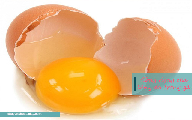 Lòng đỏ trứng gà có tác dụng trong điều trị bệnh đau dạ dày