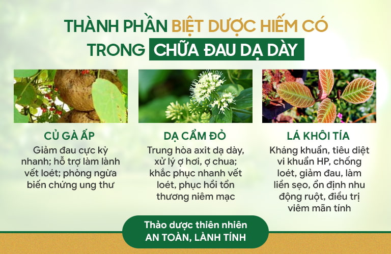 3 Vị thuốc chủ dươc trong Sơ can Bình vị tán chế phẩm thế hệ 2