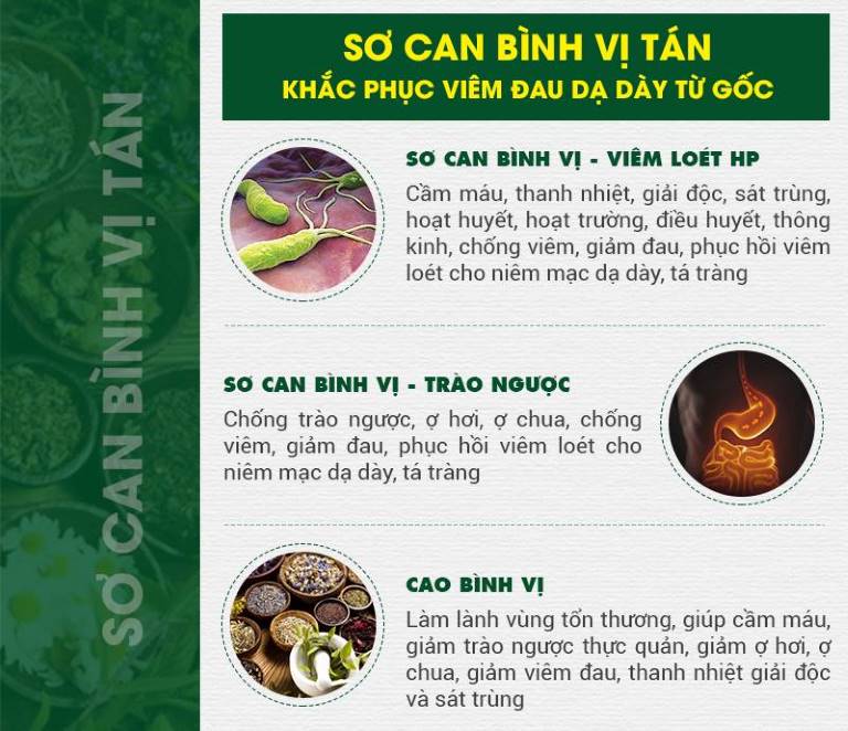 Công dụng từng bài thuốc thành phần