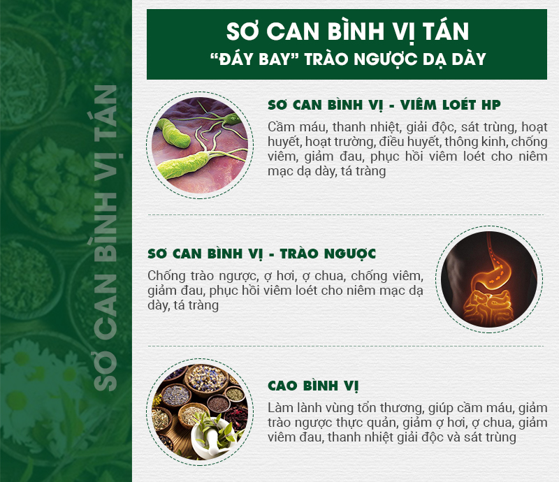 3 chế phẩm bài thuốc Sơ can Bình vị tán