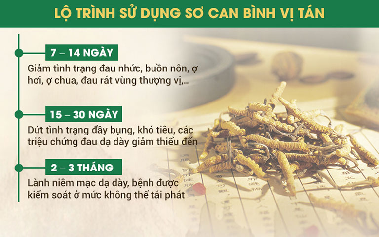 Lộ trình sử dụng Sơ can Bình vị tán