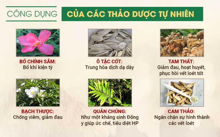 Công dụn của các thảo dược tự nhiên khắc phục xuất huyết dạ dày