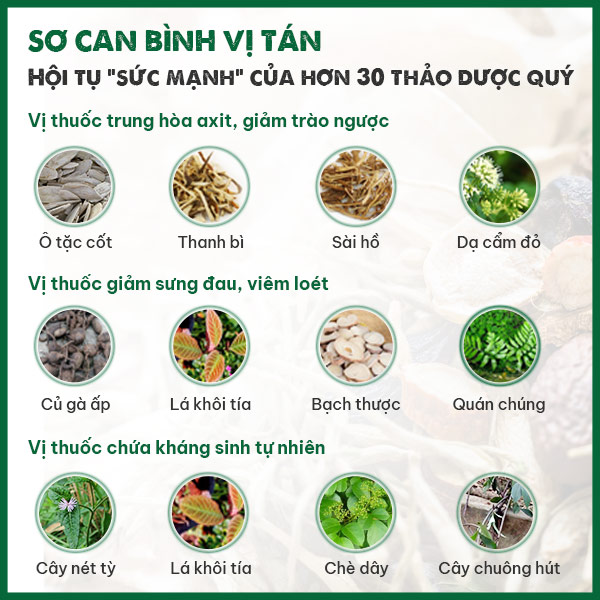 Các nhóm thảo dược được phối hợp bào chế nên Sơ can Bình vị tán