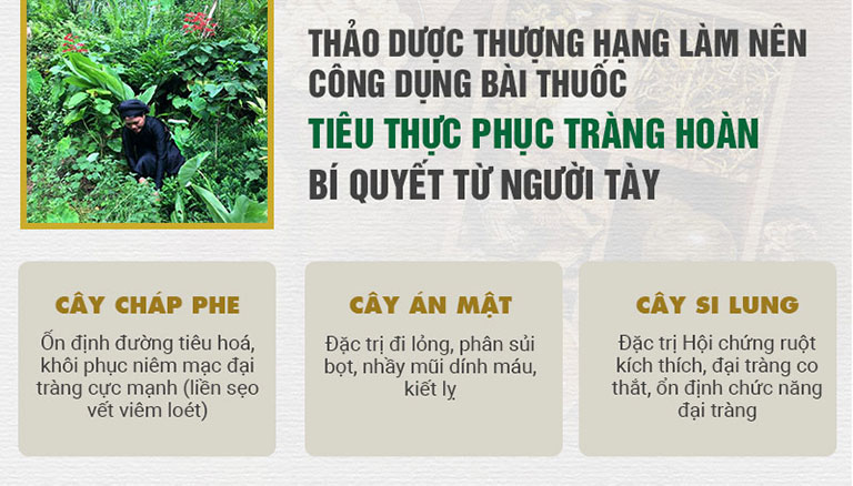 Thông tin về 3 cây thuốc quý