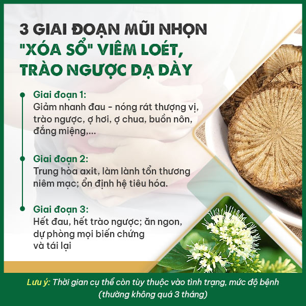 Hiệu quả bài thuốc theo từng giai đoạn