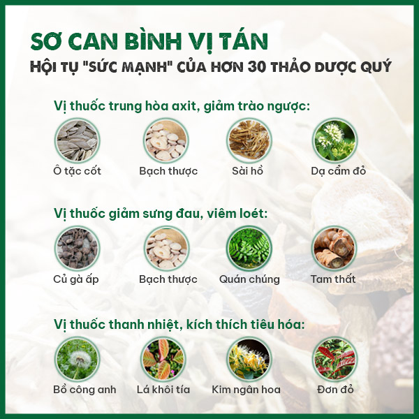 Các thành phần dược liệu chính có trong bài thuốc